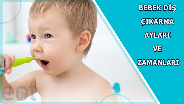 Bebek-Dis-cikarma-Aylari-ve-Zamanlari
